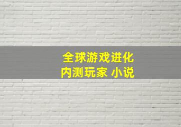 全球游戏进化内测玩家 小说